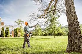 Best Hedge Trimming  in Navajo, NM
