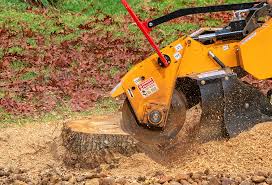 Best Tree Disease Treatment  in Navajo, NM